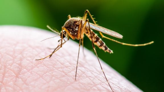 انتقال ویروس کرونا