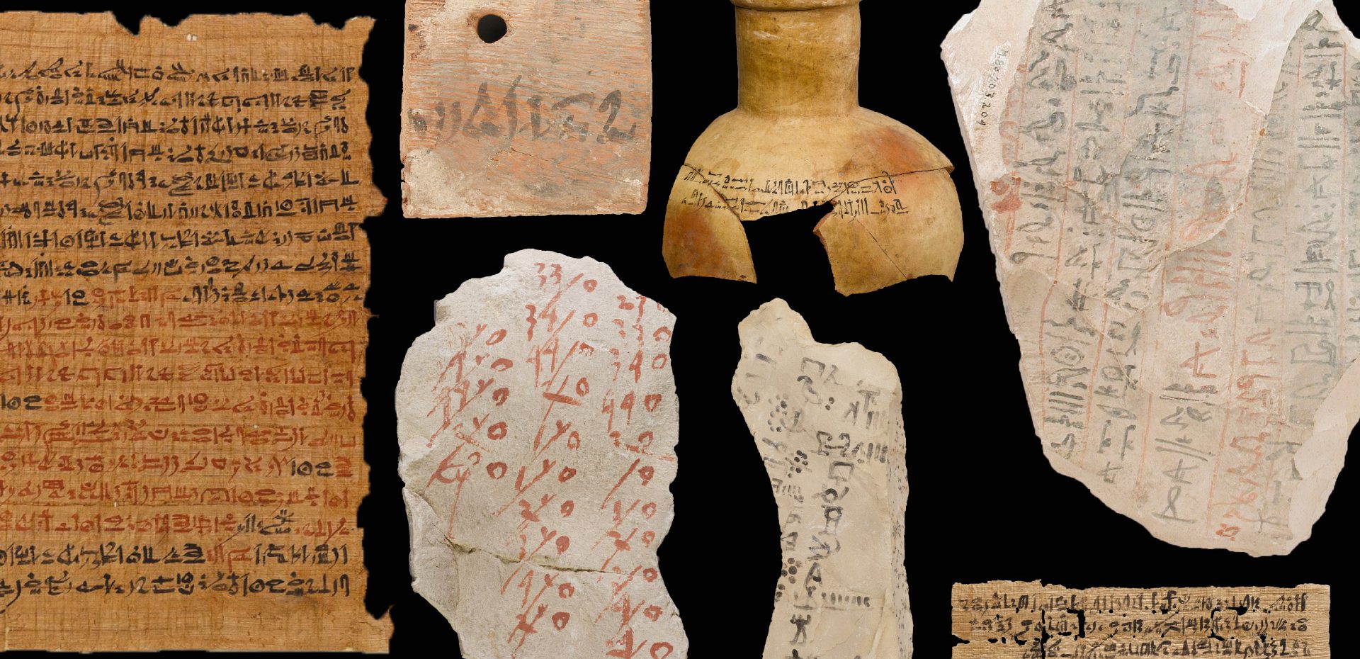 5 مورد آزمایش DNA اشیاء باستانی