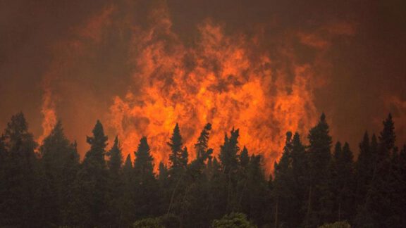 آتش سوزی جنگل های زاگرس