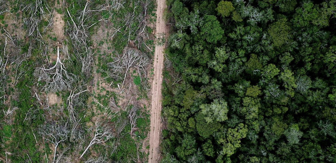 تهدید جنگل‌های بارانی حیاتی با شیوع ویروس کرونا و خطر نابودی کامل زیست‌بوم استوایی