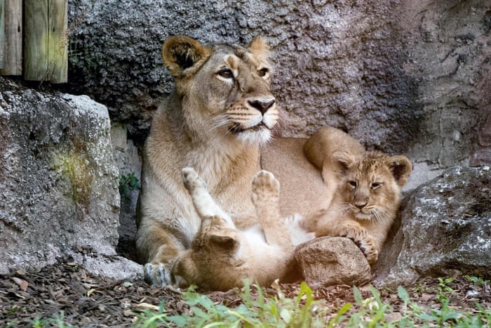 بهترین عکس های هفته