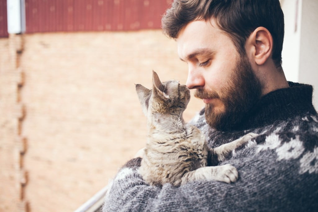 همراهی یک گربه و علاقه‌مندی کمتر زنان