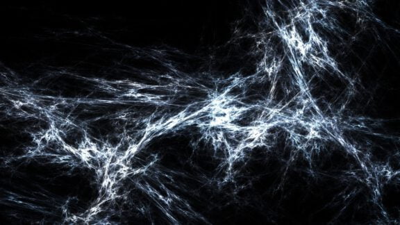 حیوانات تصویر سحابی کارینا