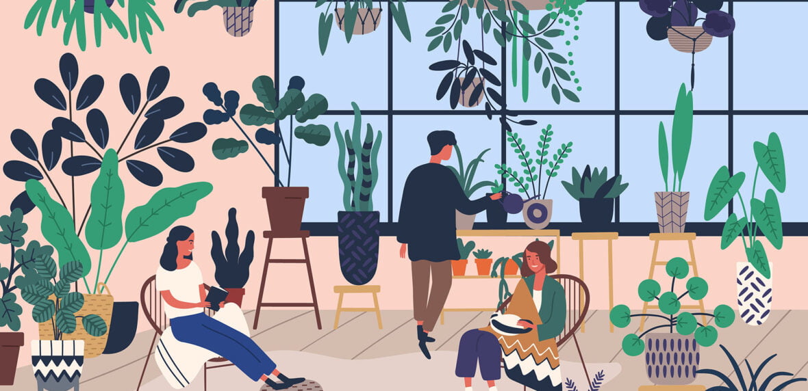 گل و گیاهان خانگی