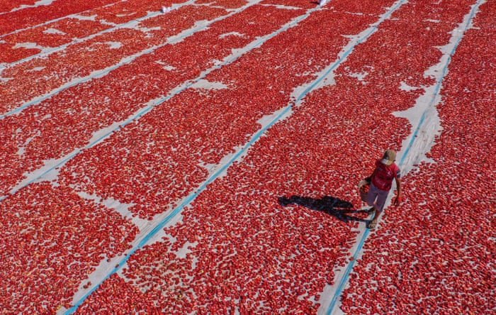 بهترین عکس های هفته