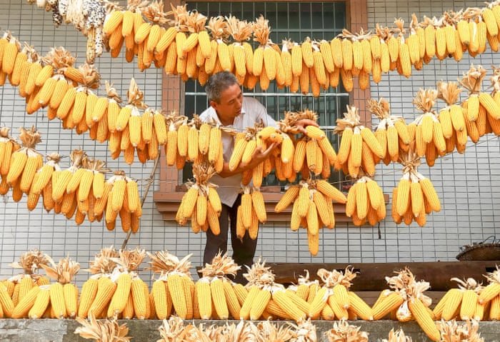 بهترین عکس های هفته