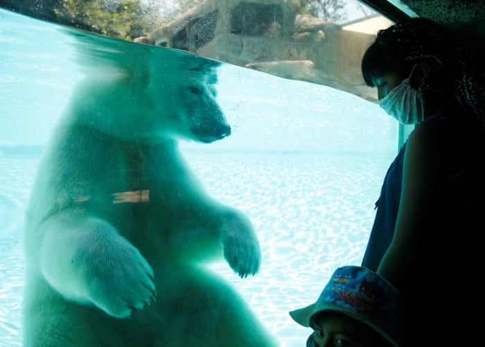 بهترین عکس های هفته