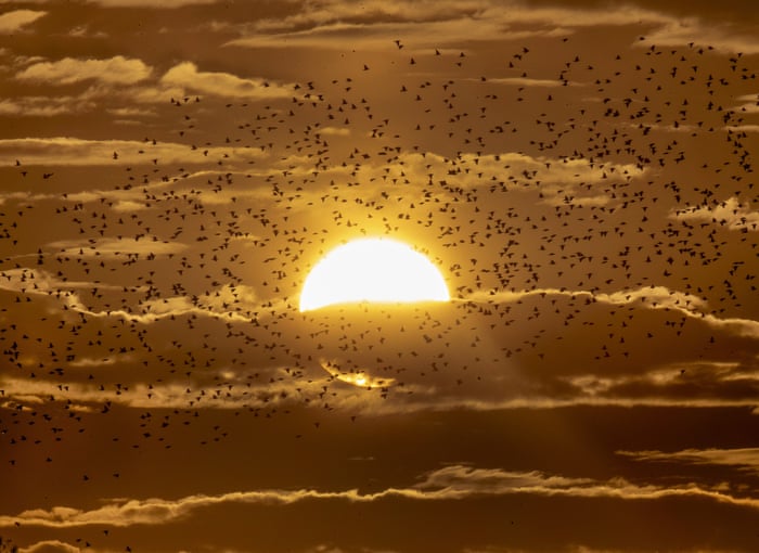 بهترین عکس های هفته