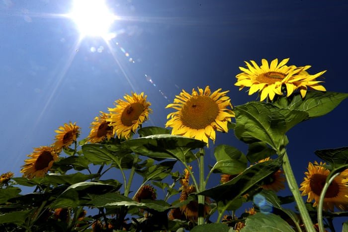 بهترین عکس های هفته