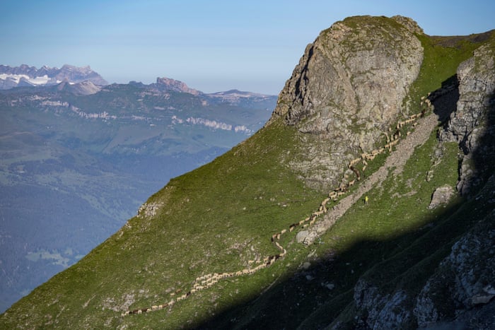 بهترین عکس های هفته