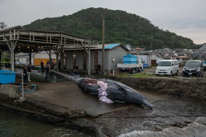 بهترین عکس های هفته