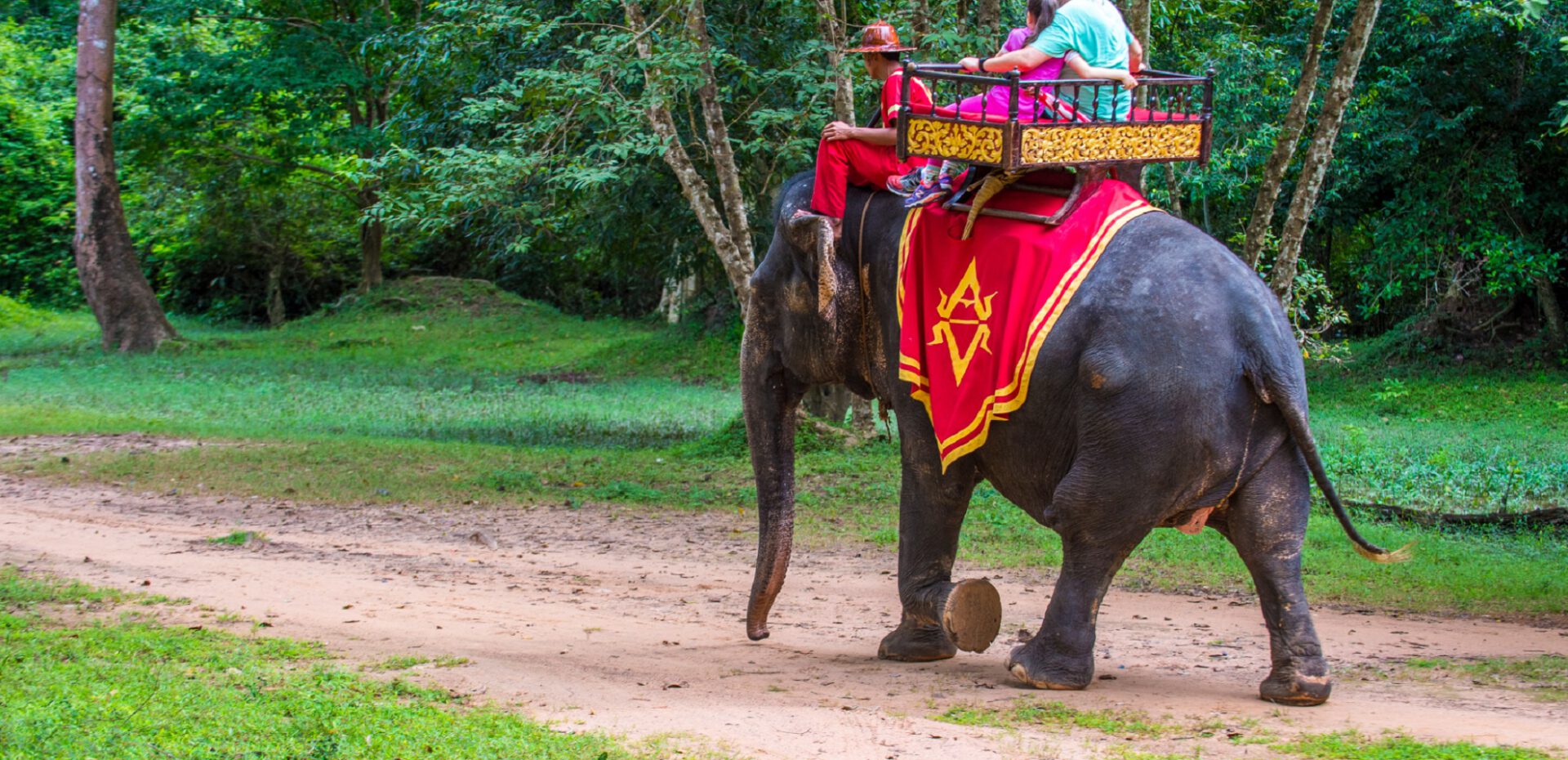 گردشگری حیوانات