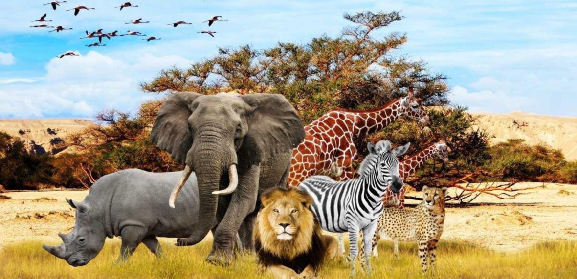 پرجمعیت ترین حیوانات جهان