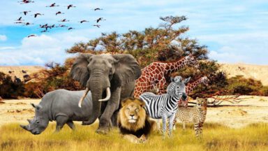 پرجمعیت ترین حیوانات جهان