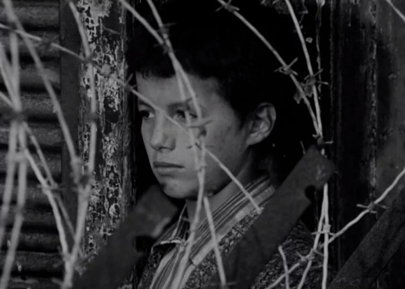 10. نبرد الجزایر (1966)
The Battle of Algiers