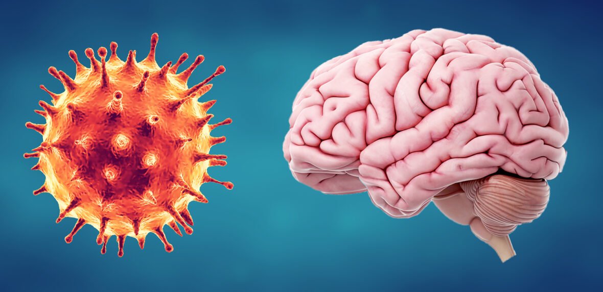 سلول های مغز