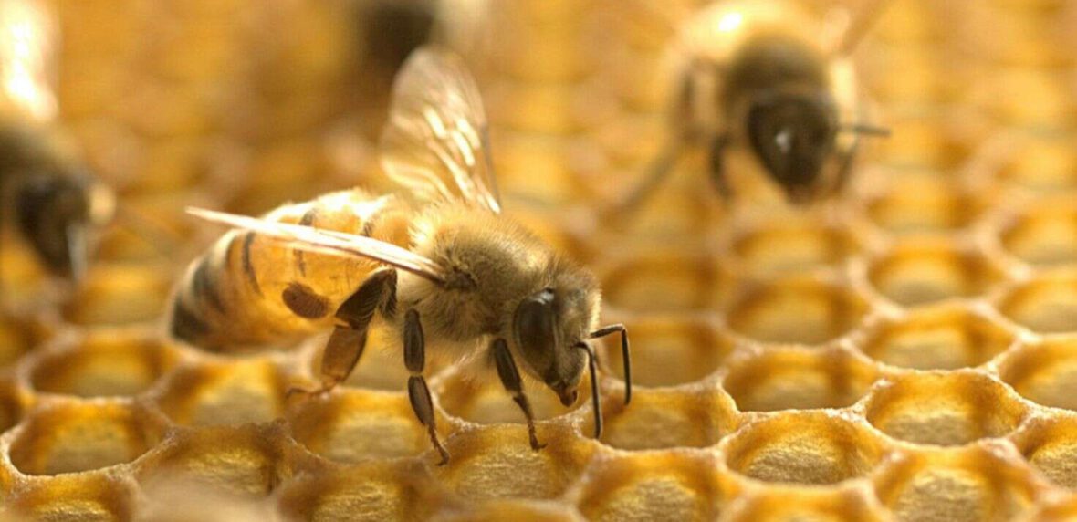 درمان سرطان سینه