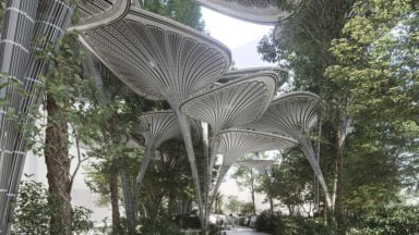 معماری پایدار درخت نخل آینده گرایانه
