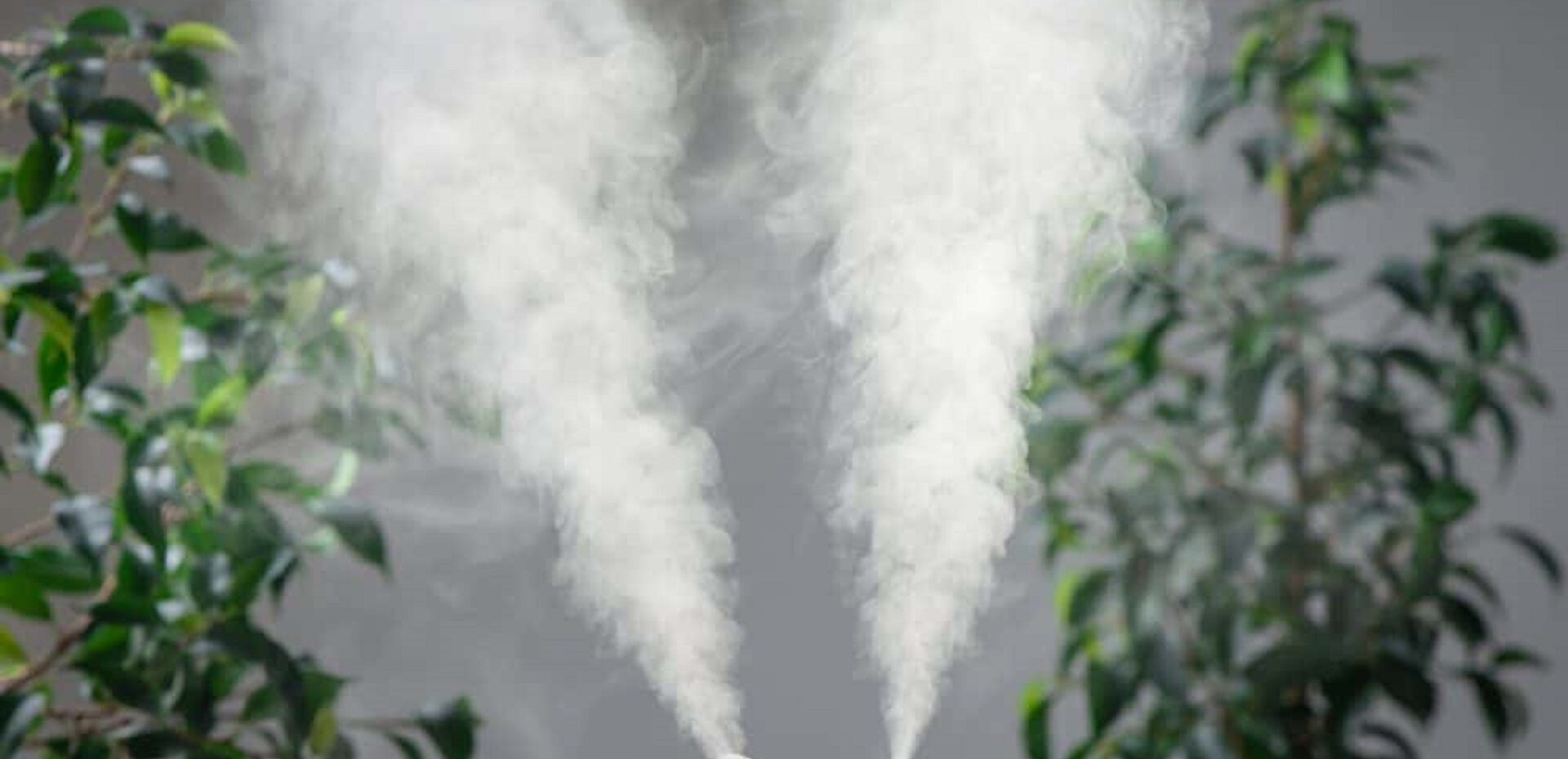 ترفندهای افزایش رطوبت محیط