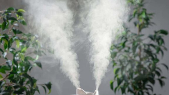 ترفندهای افزایش رطوبت محیط