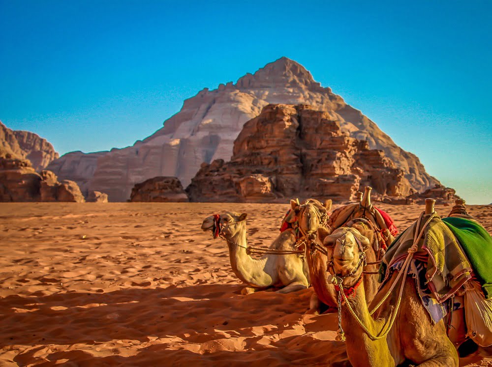 سفر با شتر در اردن