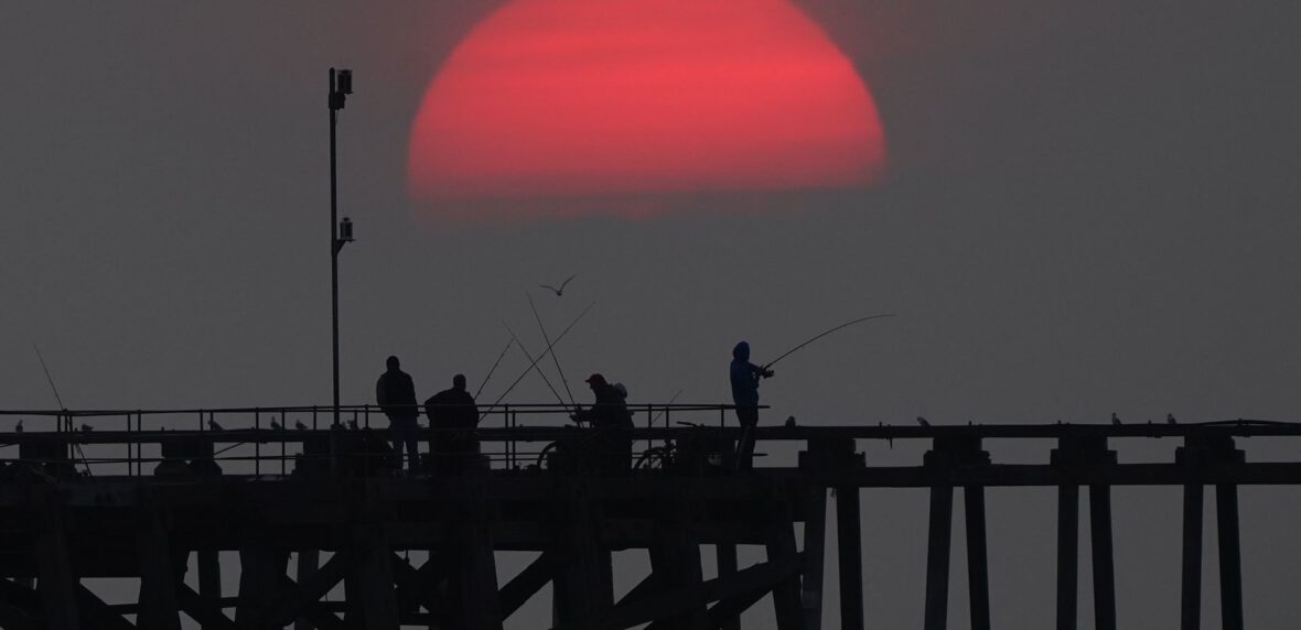 بهترین عکس های هفته