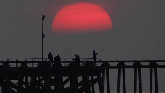 بهترین عکس های هفته