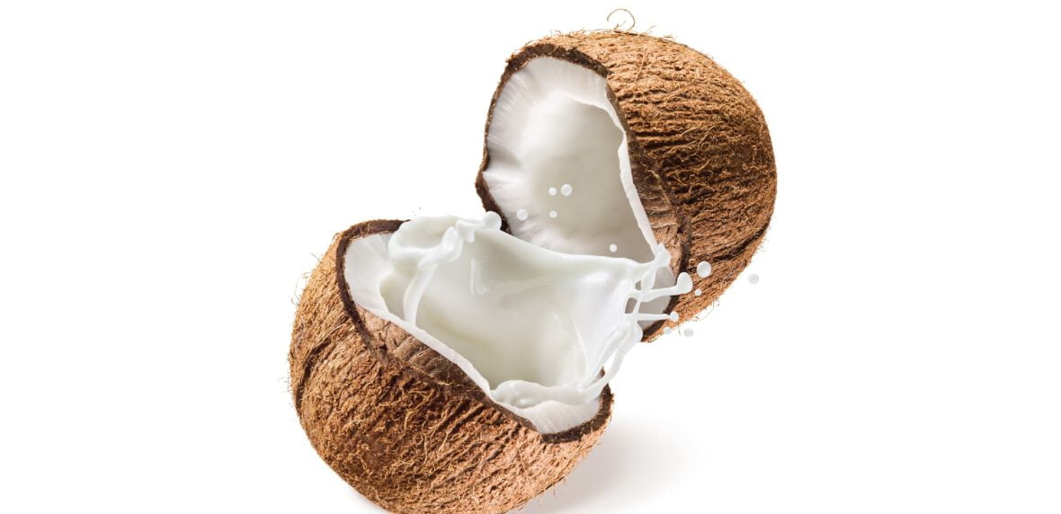 تولیدگنندگان نارگیل