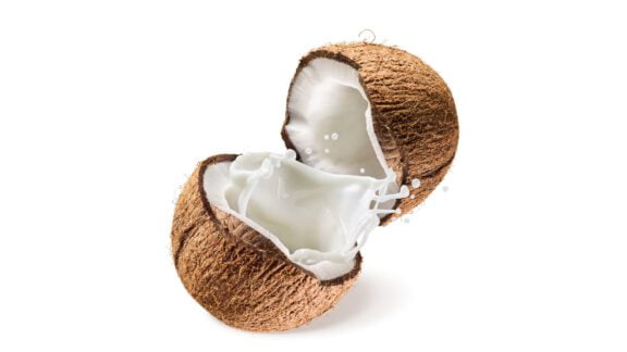 تولیدگنندگان نارگیل