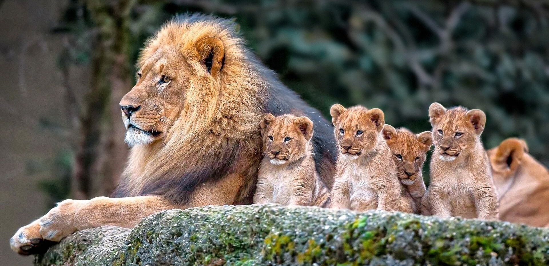 5 باغ وحش بزرگ جهان