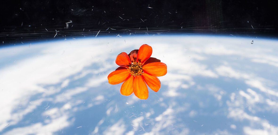 پرورش گیاهان در فضا برای آیندگان