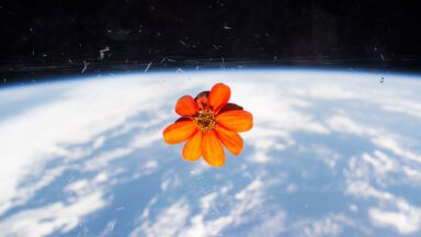 پرورش گیاهان در فضا برای آیندگان