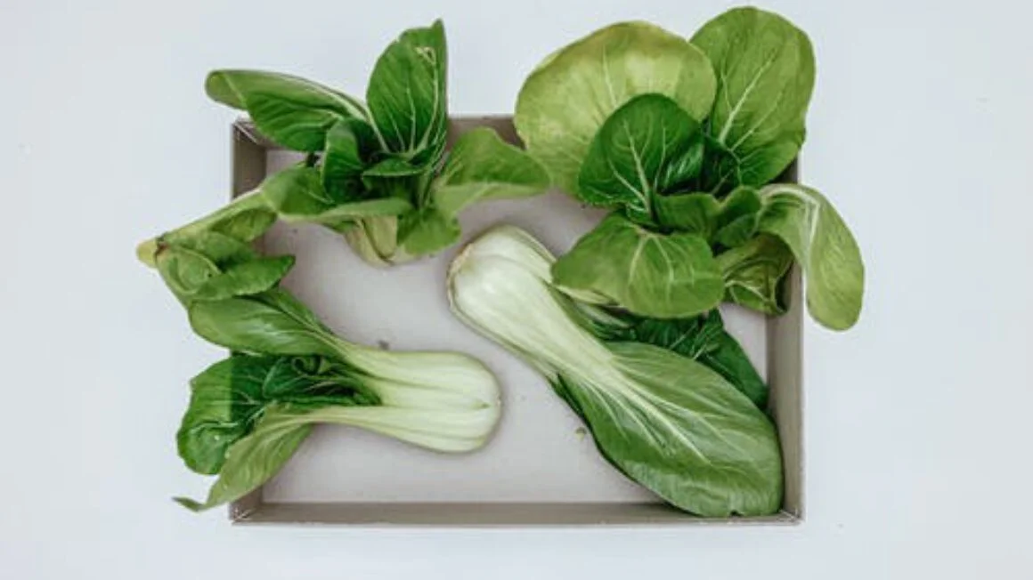 رژیم مخصوص وگن