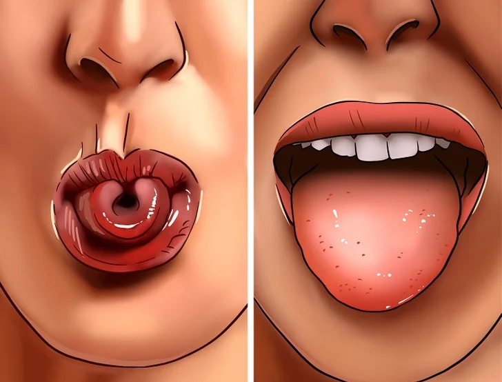 لوله کردن زبان یک ویژگی ژنتیکی نیست