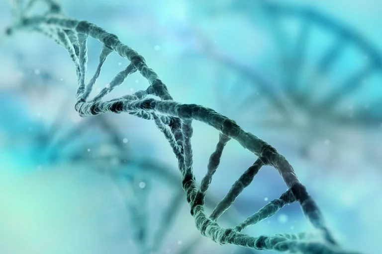 حقیقت علمی در مورد ژنهای انسان