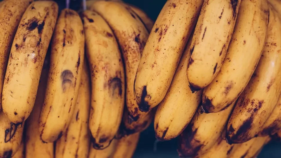 میوه مناسب برای دیابت