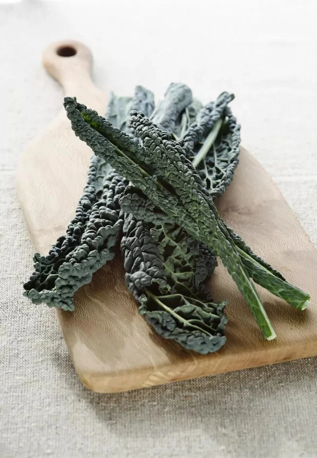 چغندر