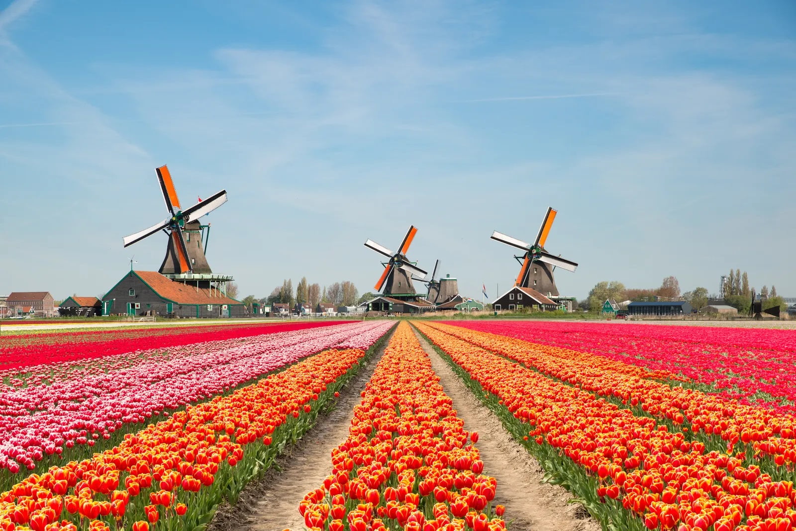 هلند شاد ترین کشور دنیا