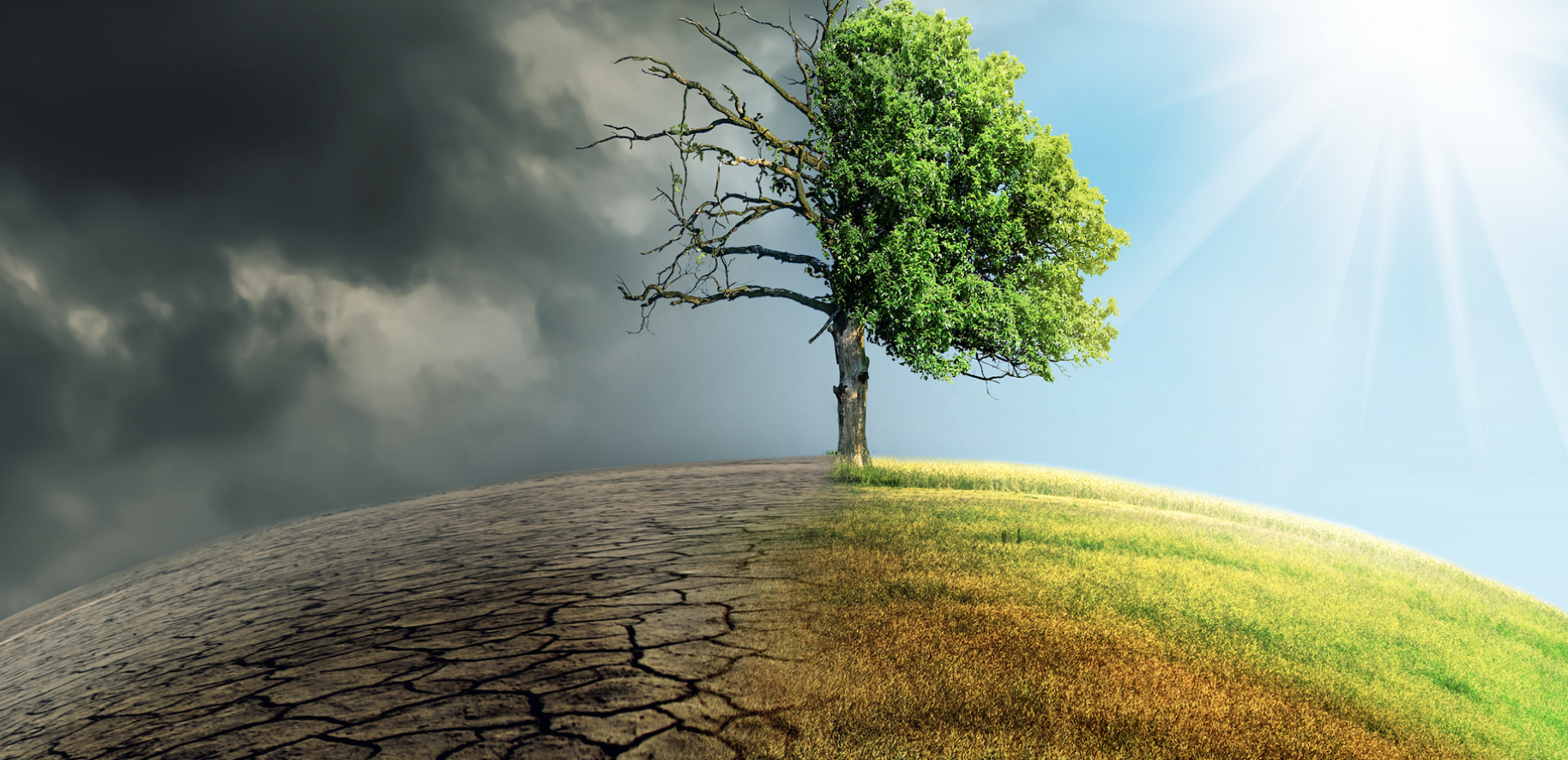 حفظ محیط زیست