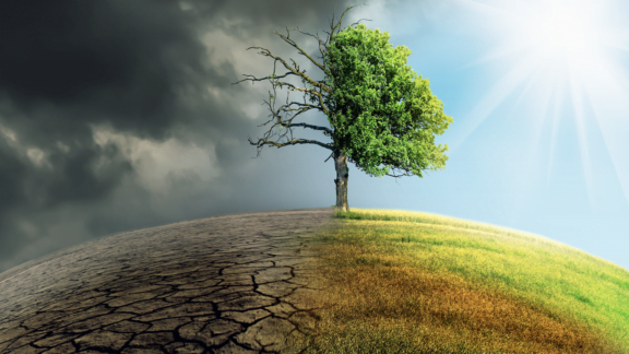 حفظ محیط زیست