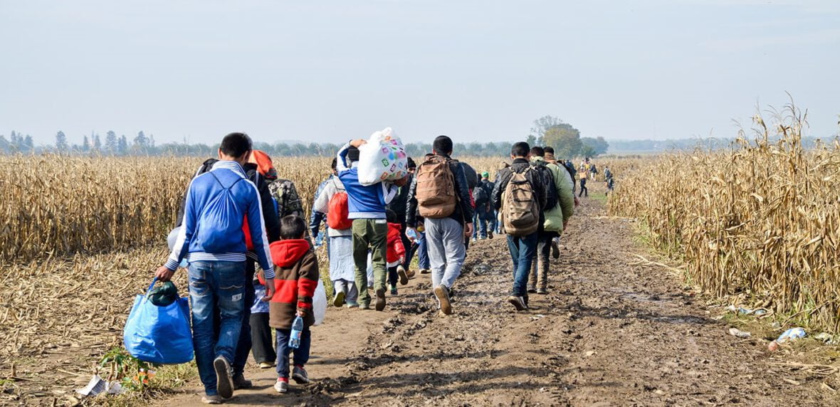 بیشترین مهاجرت