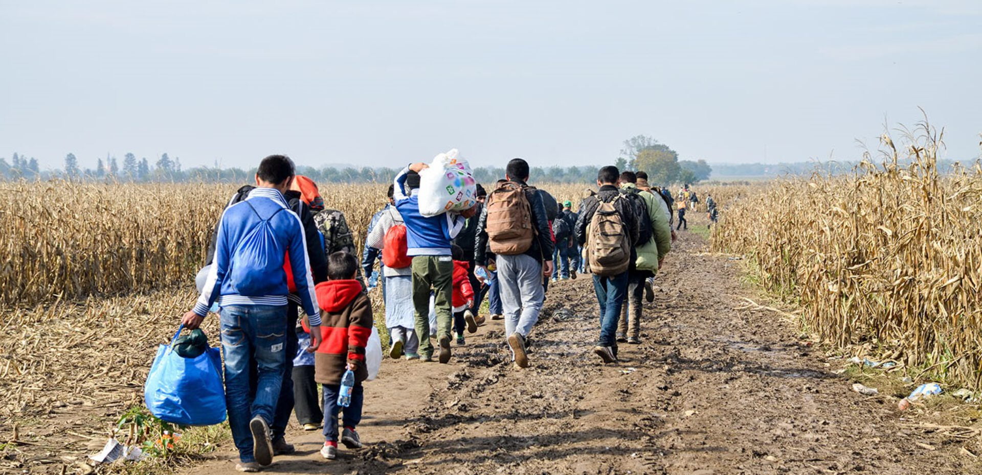 بیشترین مهاجرت