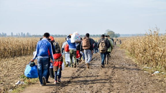 بیشترین مهاجرت