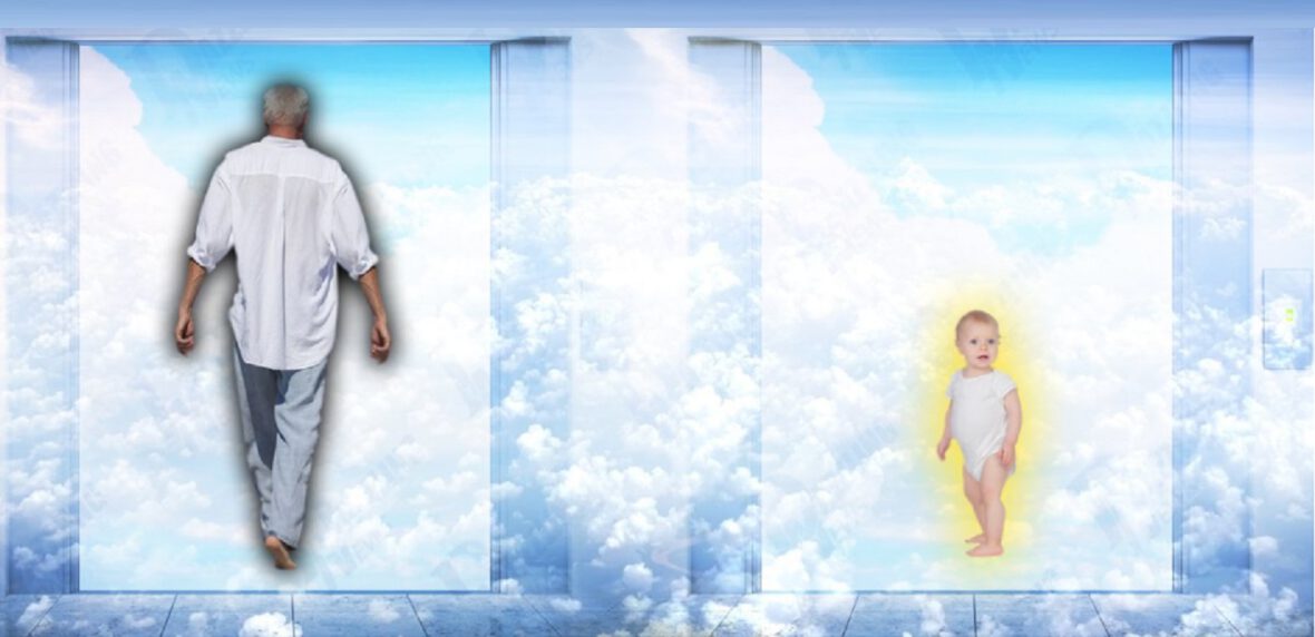 نظریه تناسخ