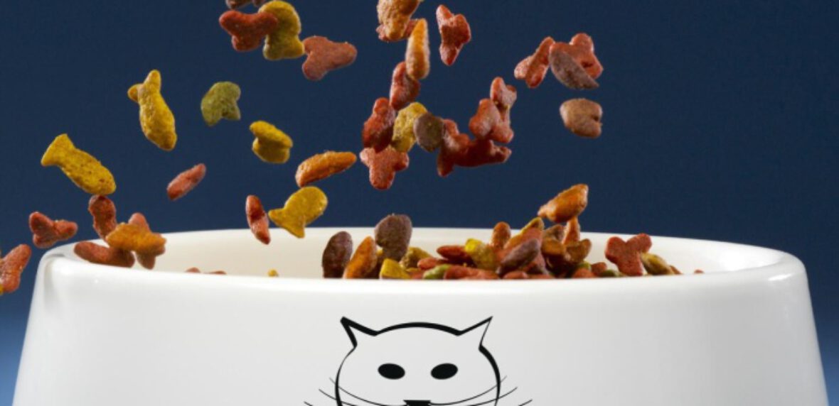 بررسی و راهنمای خرید غذای گربه